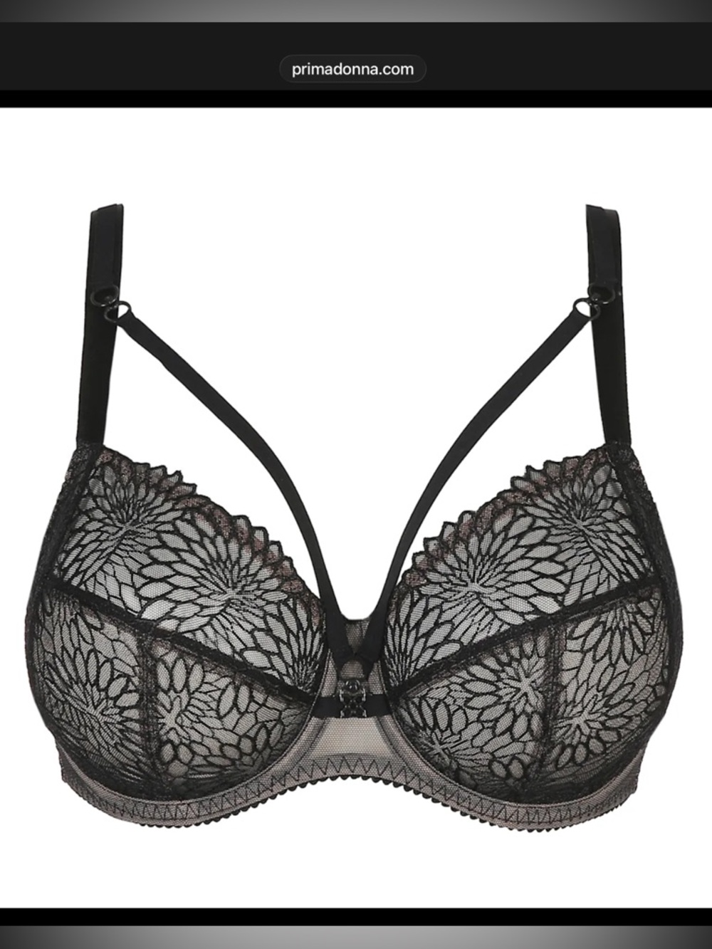 Primadonna Sheer Lace Underwire Bra in Black w/ Sexy Detail